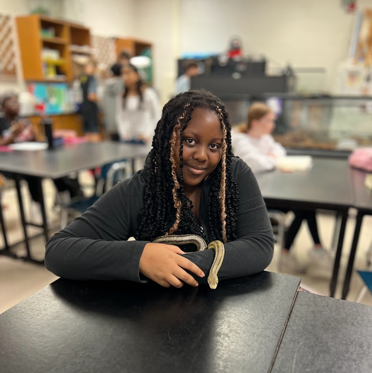  8th grader holding one of our snakes in Animal Science
